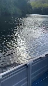 18M views · 353K reactions | Back 2 Basics Adventures on Reels | Facebook