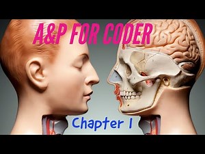 ANATOMY & PHYSIOLOGY FOR CODERS - CHAPTER 01: SKELETAL SYSTEM.