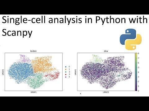 Single cell analysis in python with Scanpy