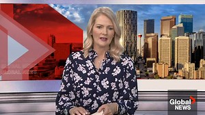 97K views · 596 reactions | A Calgary car seller has run into major roadblocks after a vehicle history report showed his car was also registered in another province — at the same time he owned it. As Tomasia DaSilva reports he believes his vehicle identification number (VIN) was stolen. | Global Calgary | Facebook