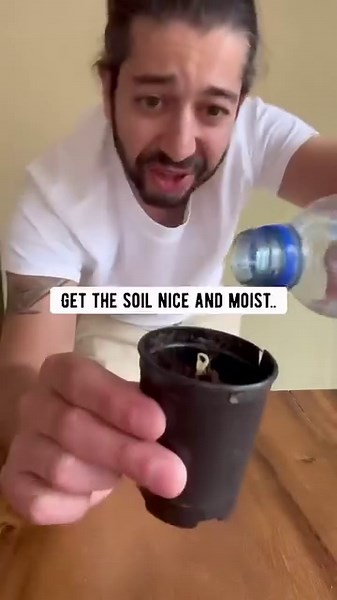 15M views · 598K reactions | Try growing one of these plants at home! 朗 . . . . #plants #gardening #lifehacks | creative explained | Facebook