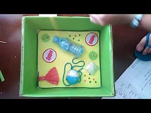PLANT CELL MODEL (recycled materials)