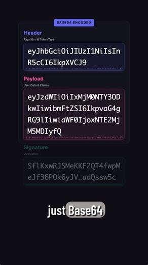 Brad Traversy on Instagram: "JSON Web Tokens - Don't add sensitive data #JSONWebTokens #JWT #WebSecurity #WebDev #BackendDev"