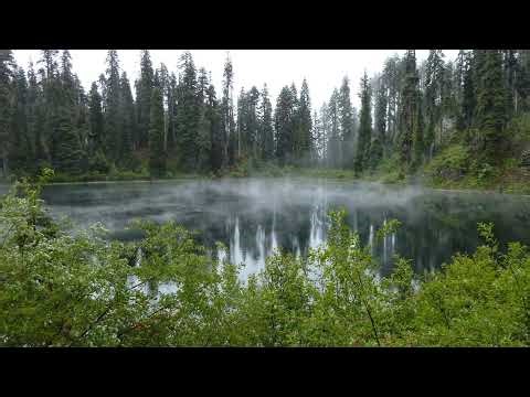 3.26 - Build an Assassin - Day 3