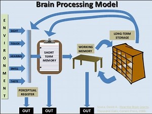 Information Processing Model
