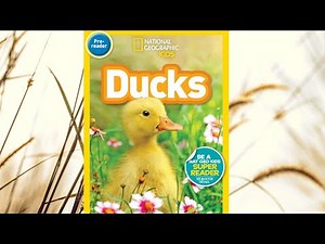 national geographic for kids: Ducks