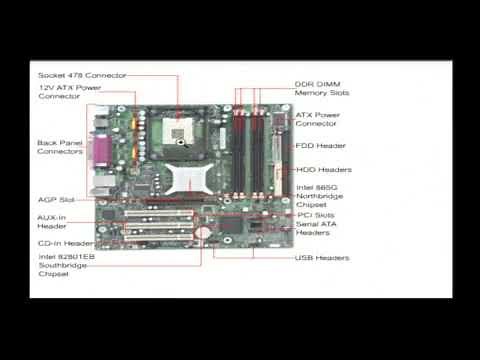 How Does a Computer Process Information?