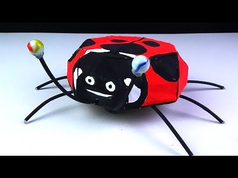 How to Make Remote Control Insect Ladybug Robot - Diy Rc Toy Easy at Home