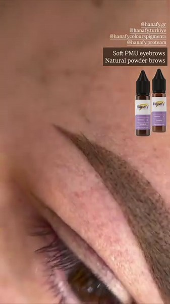 Powder Brow Tinting Tutorial | Ombre Brows PMU Step by Step | Permanent Makeup Master @ElaheMaster