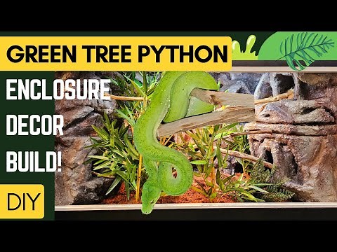 DIY Green tree python enclosure: Ancient City Themed!