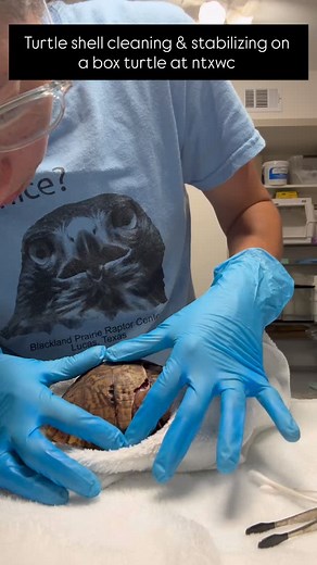 2.3K views · 459 reactions | Here’s a behind the scenes look at a...