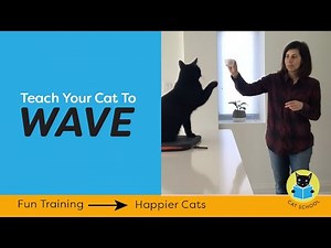 Teach Your Cat To Wave