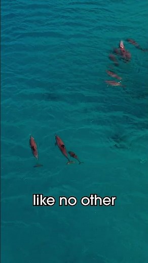 The Pacific Ocean: The Biggest Ocean in the World