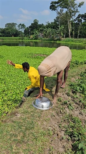 How do cows make noise?