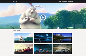 14 Best Free WordPress Video Themes 2026 - Colorlib