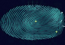 RaspiReader: build your own fingerprint reader - Raspberry Pi