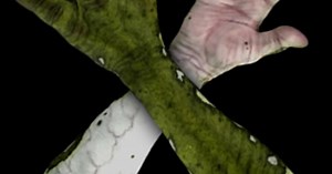 Alien Silicone Sleeves - Large