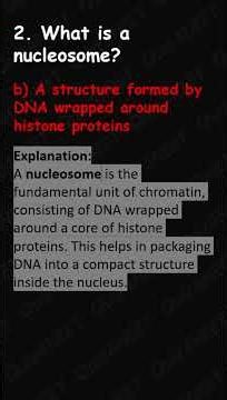 🌱 Genetic Language Explained | Decoding Codons | NEET Bio Simplified