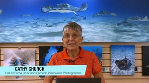 Tutorial Videos | Land & Sea Scuba | Vivid-Pix Software