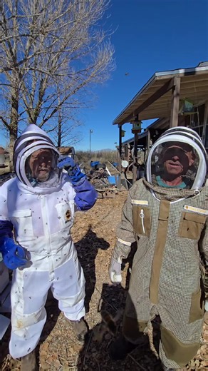 Understanding Killer Bees and Their Impact