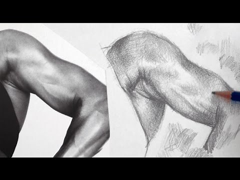 How to Shade a Drawing with Pencil - Shading Techniques