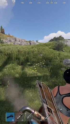 Never Trust Anyone in Rust: A Cautionary Tale