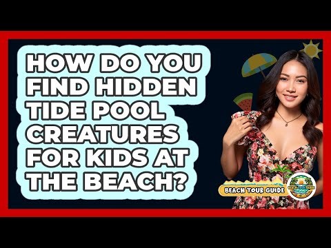 How Do You Find Hidden Tide Pool Creatures For Kids At The Beach? - Beach Tour Guide