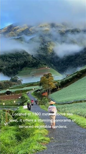 Vegetable Country Tourism, Sukomakmur, Central Java, Indonesia #nature #indonaturefilms