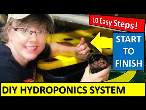 DIY Hydroponic System🌿 in 10 EASY Steps START TO FINISH