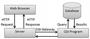 Common Gateway Interface (CGI) - NETWORK ENCYCLOPEDIA