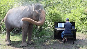 66K views · 5K reactions | For those that have asked, here are a few...