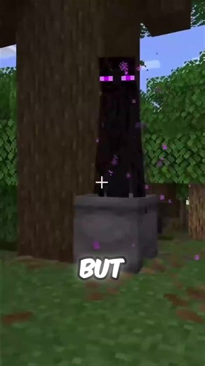 The Shocking Differences Between Minecraft Bedrock and Java