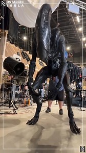 199K views · 3.7K reactions | The animatronics for the Xenomorphs in the upcoming ALIEN: Romulus  Alien: Romulus (2024) ✒ Fede Alvarez, Rodo Sayagues  Fede Alvarez  Isabela Merced, Cailee Spaeny, Archie Renaux, David Jonsson, Spike Fearn, Aileen Wu #AlienRomulus #xenomorph #Aliens | Nostalgic Nebula | Facebook