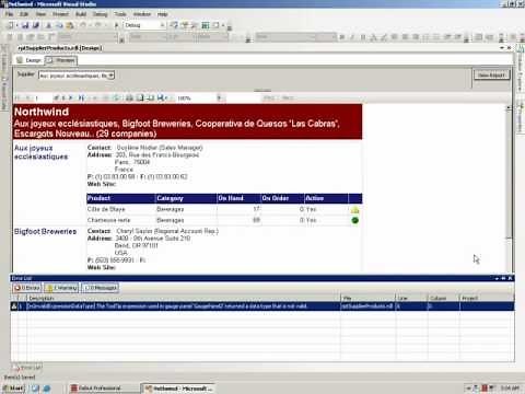 SSRS Tutorial 1 - Basics