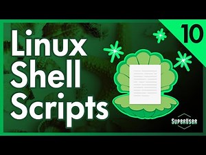 Shell Scripts | Linux for Programmers #10