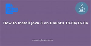 Install Java 8 (OpenJDK 8) on Ubuntu 24.04/22.04 [Guide]
