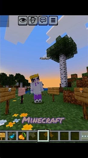 Cool Bedrock Features 😎 That Java Edition Doesn’t Have 🚫