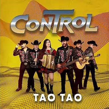 CONTROL - TAO TAO