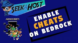 Enable Cheats On A Bedrock Server | SeekaHost