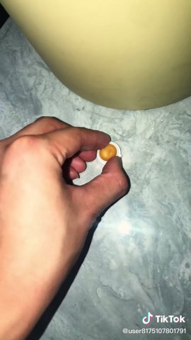 Effective Cockroach Control Methods for Homeowners