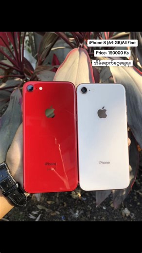 iPhone 8 (64 GB) for Sale - Excellent Condition