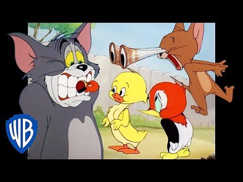 トムとジェリー | 動物王国 | WB Kids