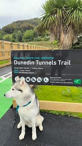 331 reactions · 14 shares | Come with me on my first walk on the...