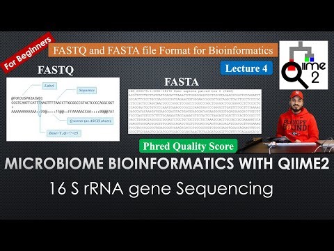 FASTQ and FASTA file | Lecture 4 | Beginners Guide to the Bioinformatics | Phred Quality score