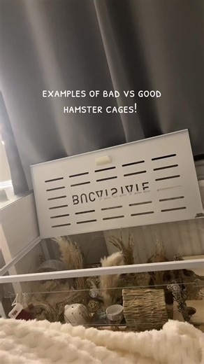 Good vs Bad Hamster Cages: Choosing the Right Habitat