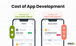 How Much Does It Cost to Develop an App - Space-O