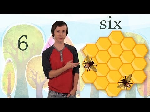 6: The Number Six - Kids Learn to Count Numbers