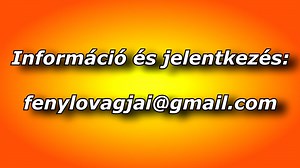 5.5K views · 240 reactions | Enigma on Reels | Facebook