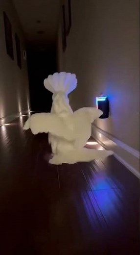 Babagai Won’t Stop the Party 😂🦜💿 #AlexaFail #FunnyParrot #2AMChaos #ViralVideo #CockatooNightclub