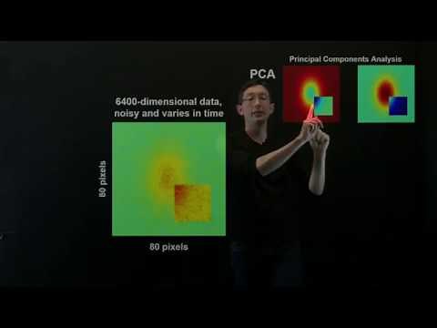 Dynamic Mode Decomposition (Examples)